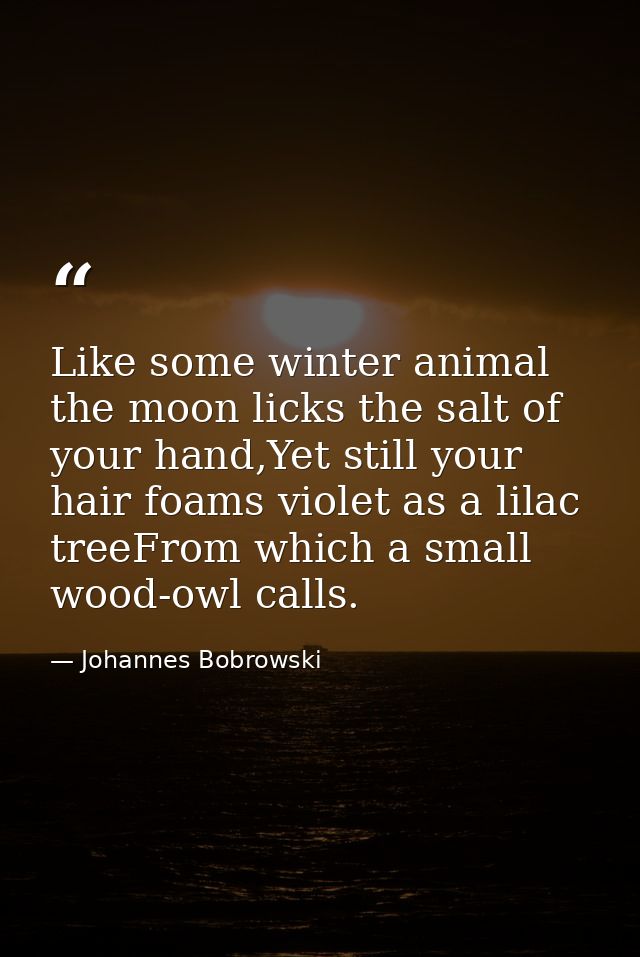 Like some winter animal the moon licks the salt of your hand,Yet still your hair foams violet as a lilac treeFrom which  — Johannes Bobrowski