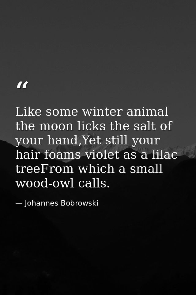 Like some winter animal the moon licks the salt of your hand,Yet still your hair foams violet as a lilac treeFrom which  — Johannes Bobrowski