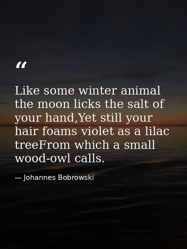 Like some winter animal the moon licks the salt of your hand,Yet still your hair foams violet as a lilac treeFrom which  — Johannes Bobrowski