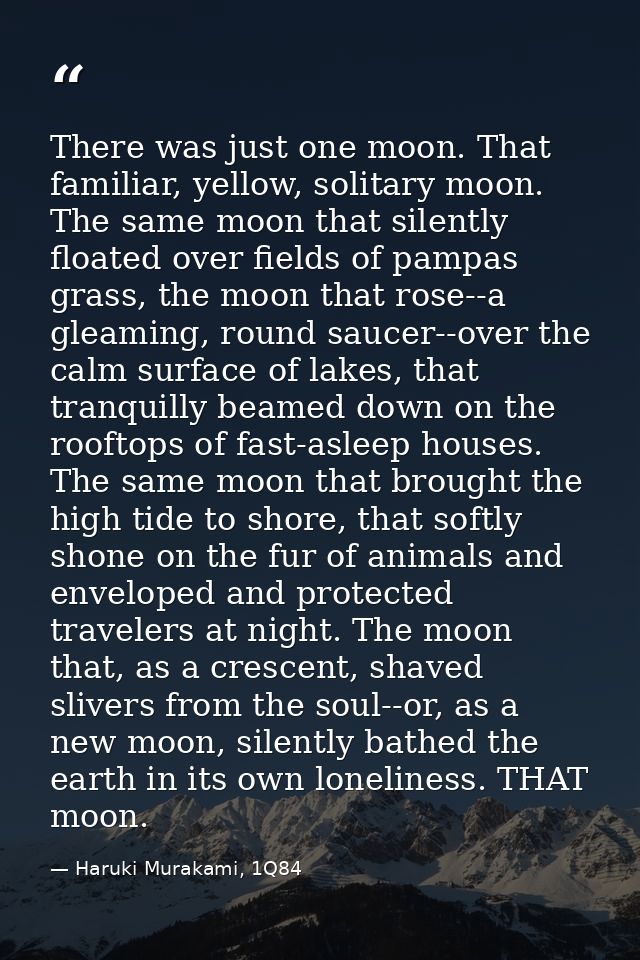 There was just one moon. That familiar, yellow, solitary moon. The same moon that silently floated over fields of pampas — Haruki Murakami, 1Q84