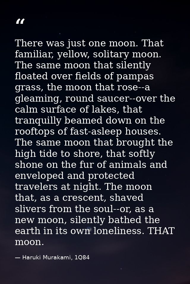 There was just one moon. That familiar, yellow, solitary moon. The same moon that silently floated over fields of pampas — Haruki Murakami, 1Q84