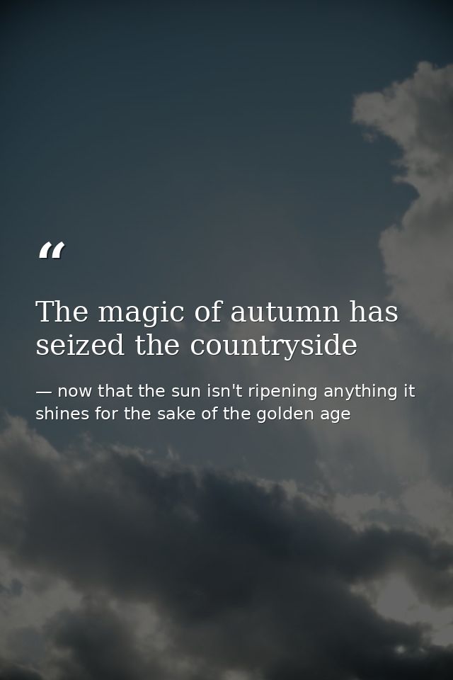 The magic of autumn has seized the countryside — now that the sun isn't ripening anything it shines for the sake of the golden age