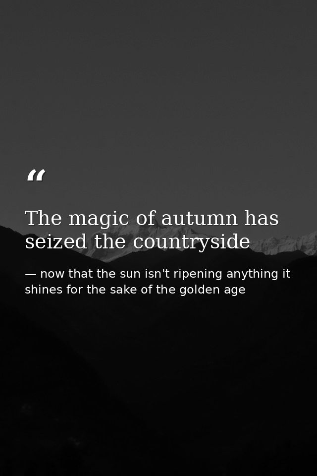 The magic of autumn has seized the countryside — now that the sun isn't ripening anything it shines for the sake of the golden age