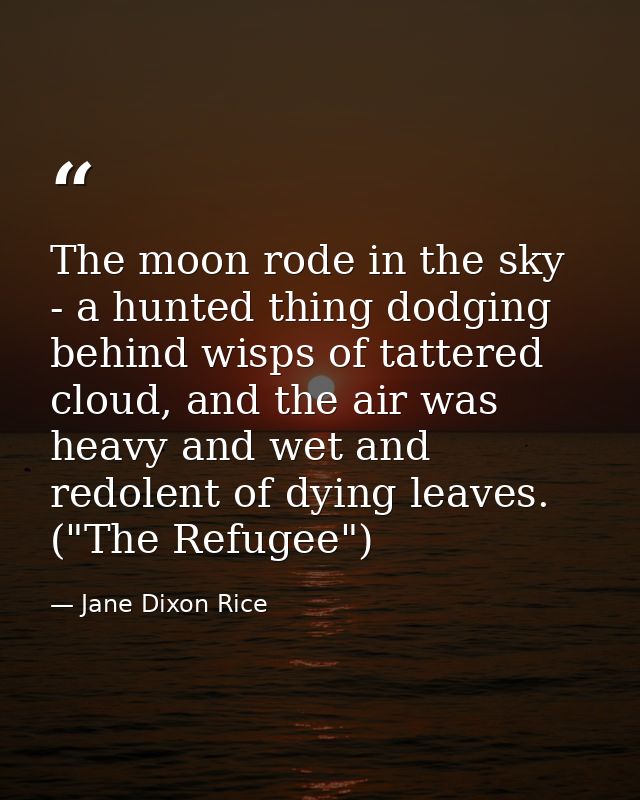 The moon rode in the sky - a hunted thing dodging behind wisps of tattered cloud, and the air was heavy and wet and redo — Jane Dixon Rice