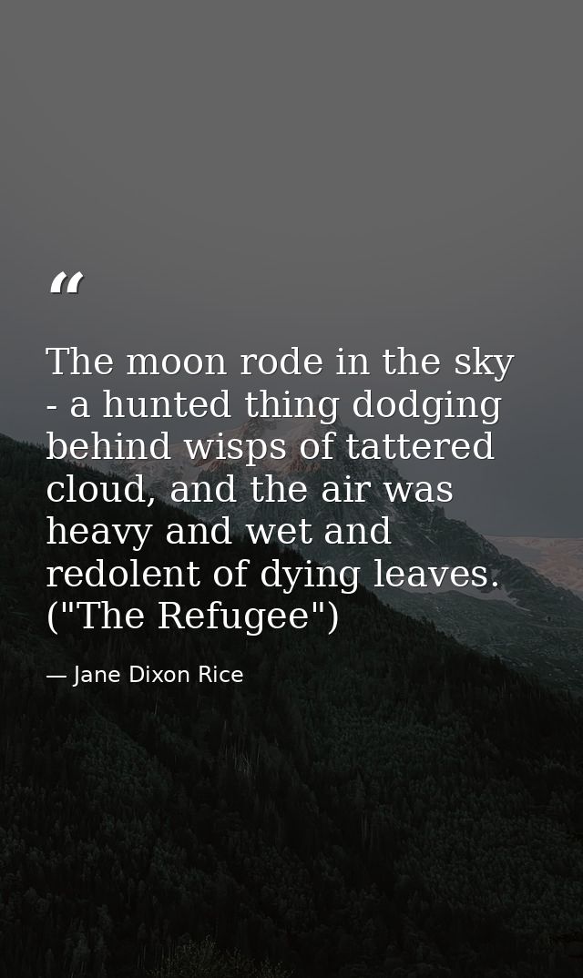 The moon rode in the sky - a hunted thing dodging behind wisps of tattered cloud, and the air was heavy and wet and redo — Jane Dixon Rice