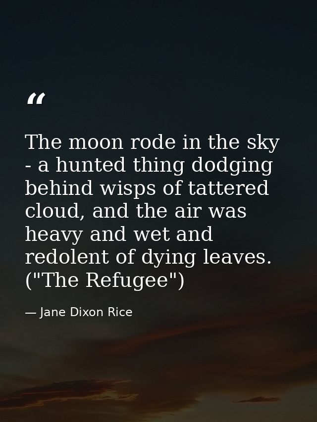 The moon rode in the sky - a hunted thing dodging behind wisps of tattered cloud, and the air was heavy and wet and redo — Jane Dixon Rice