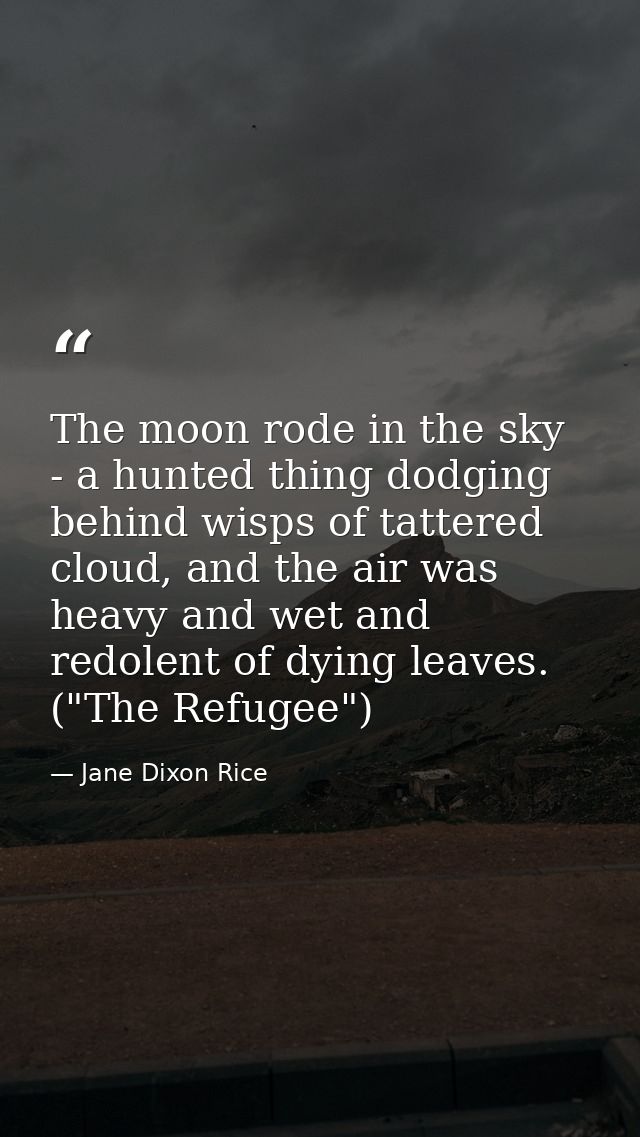 The moon rode in the sky - a hunted thing dodging behind wisps of tattered cloud, and the air was heavy and wet and redo — Jane Dixon Rice