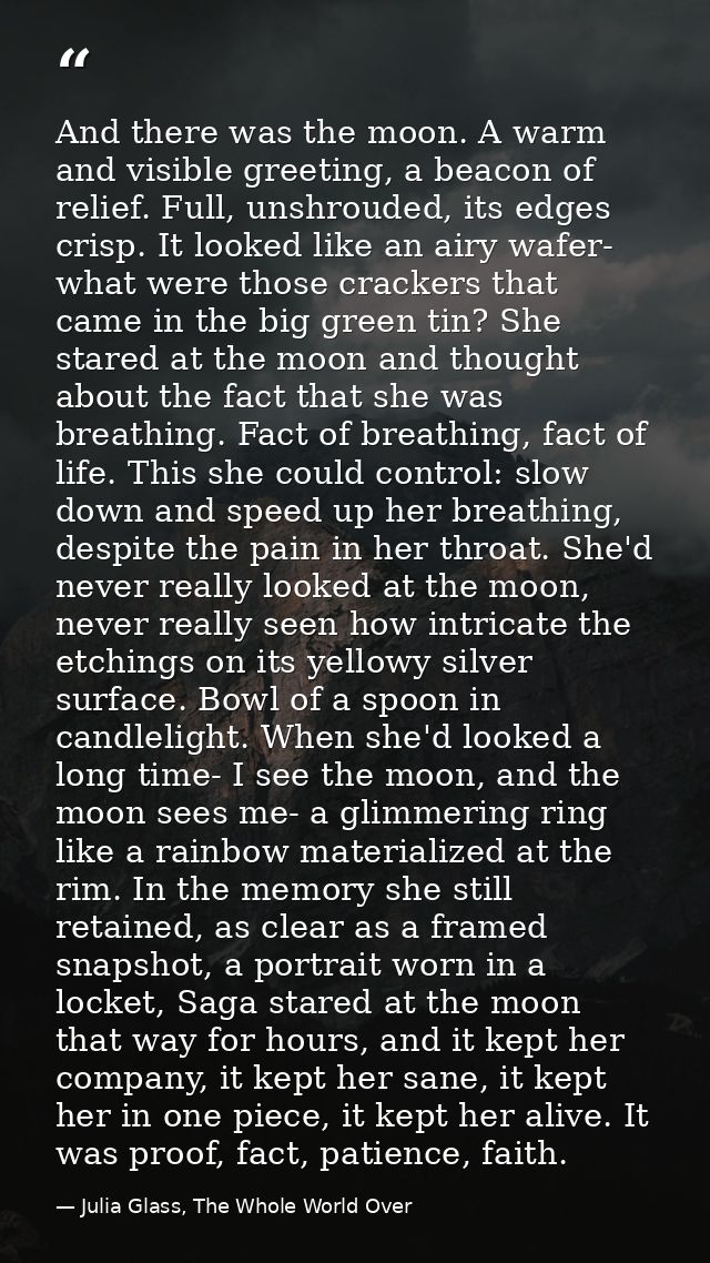 And there was the moon. A warm and visible greeting, a beacon of relief. Full, unshrouded, its edges crisp. It looked li — Julia Glass, The Whole World Over