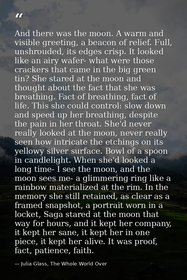 And there was the moon. A warm and visible greeting, a beacon of relief. Full, unshrouded, its edges crisp. It looked li — Julia Glass, The Whole World Over