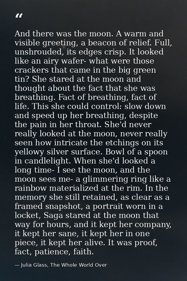 And there was the moon. A warm and visible greeting, a beacon of relief. Full, unshrouded, its edges crisp. It looked li — Julia Glass, The Whole World Over