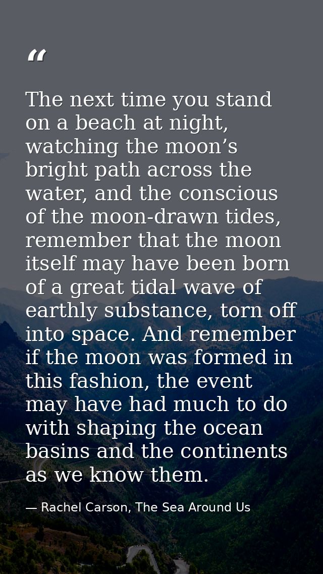 The next time you stand on a beach at night, watching the moon’s bright path across the water, and the conscious of the  — Rachel Carson, The Sea Around Us