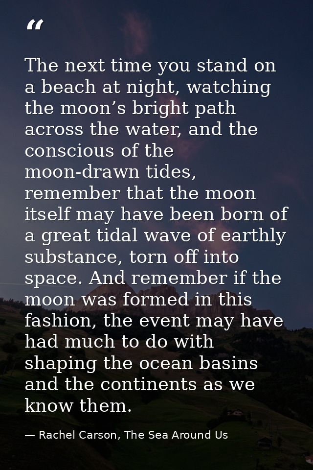The next time you stand on a beach at night, watching the moon’s bright path across the water, and the conscious of the  — Rachel Carson, The Sea Around Us