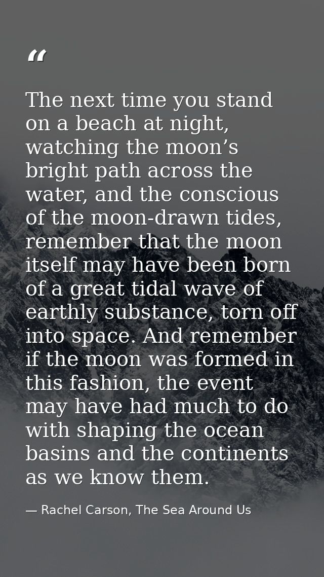 The next time you stand on a beach at night, watching the moon’s bright path across the water, and the conscious of the  — Rachel Carson, The Sea Around Us