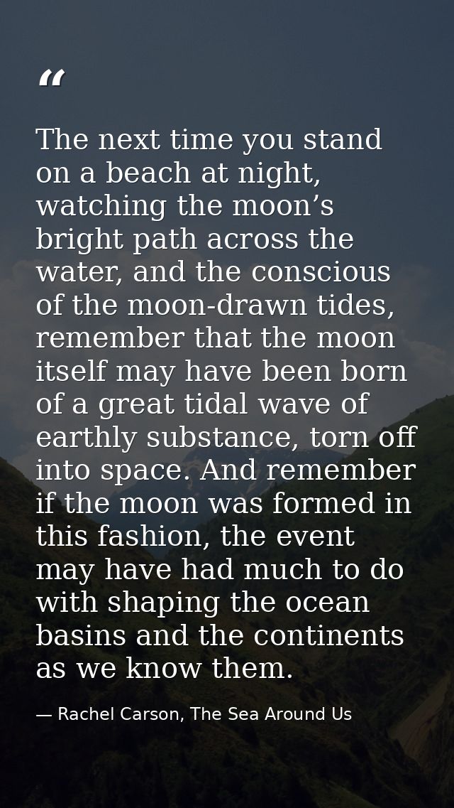 The next time you stand on a beach at night, watching the moon’s bright path across the water, and the conscious of the  — Rachel Carson, The Sea Around Us