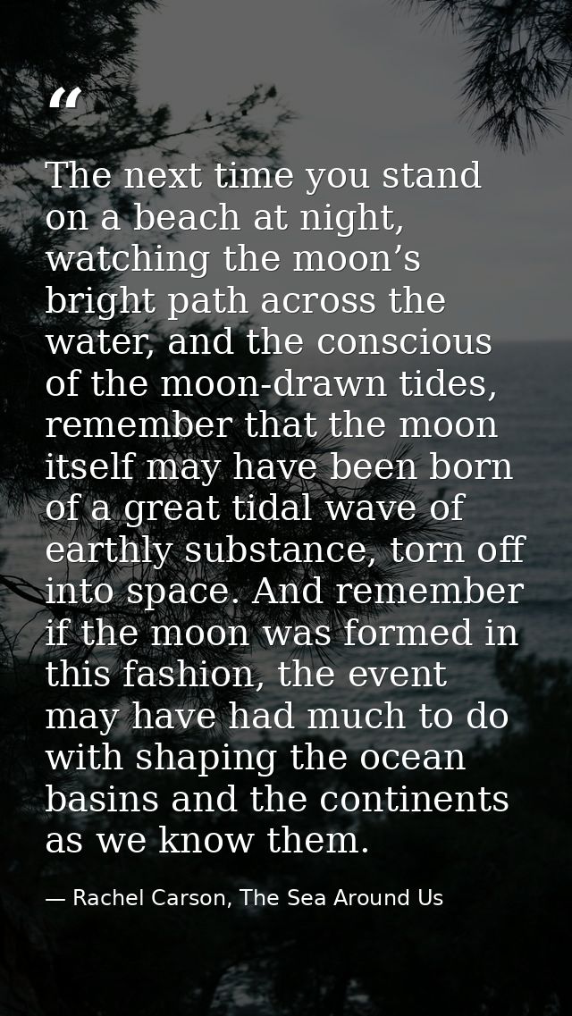 The next time you stand on a beach at night, watching the moon’s bright path across the water, and the conscious of the  — Rachel Carson, The Sea Around Us