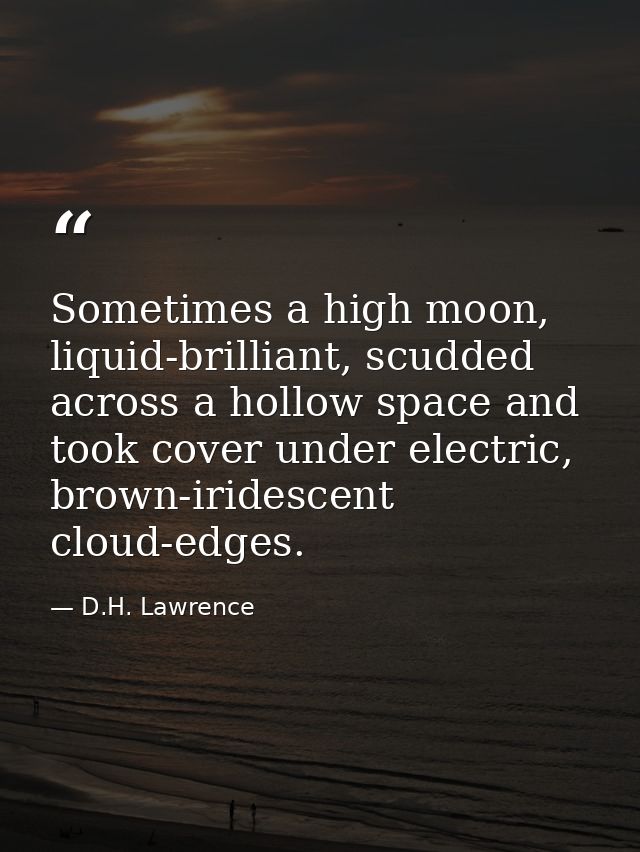 Sometimes a high moon, liquid-brilliant, scudded across a hollow space and took cover under electric, brown-iridescent c — D.H. Lawrence