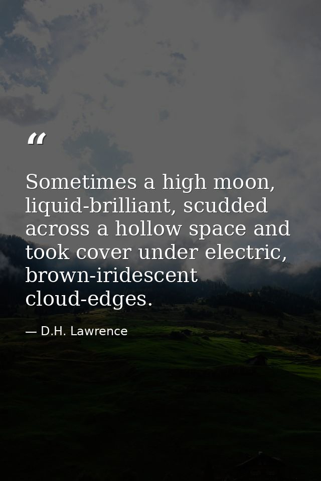 Sometimes a high moon, liquid-brilliant, scudded across a hollow space and took cover under electric, brown-iridescent c — D.H. Lawrence