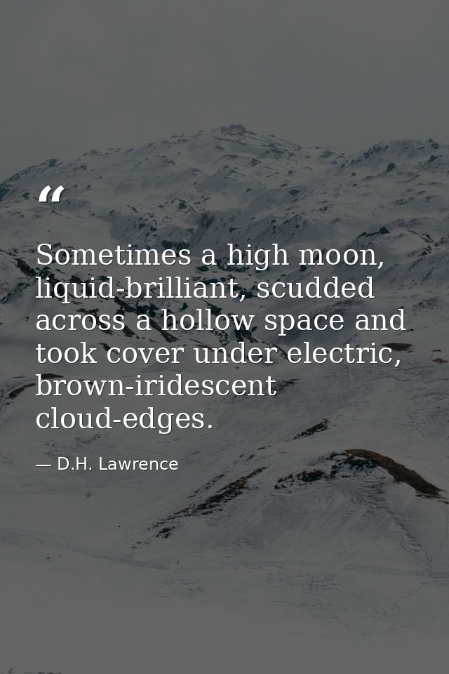 Sometimes a high moon, liquid-brilliant, scudded across a hollow space and took cover under electric, brown-iridescent c — D.H. Lawrence