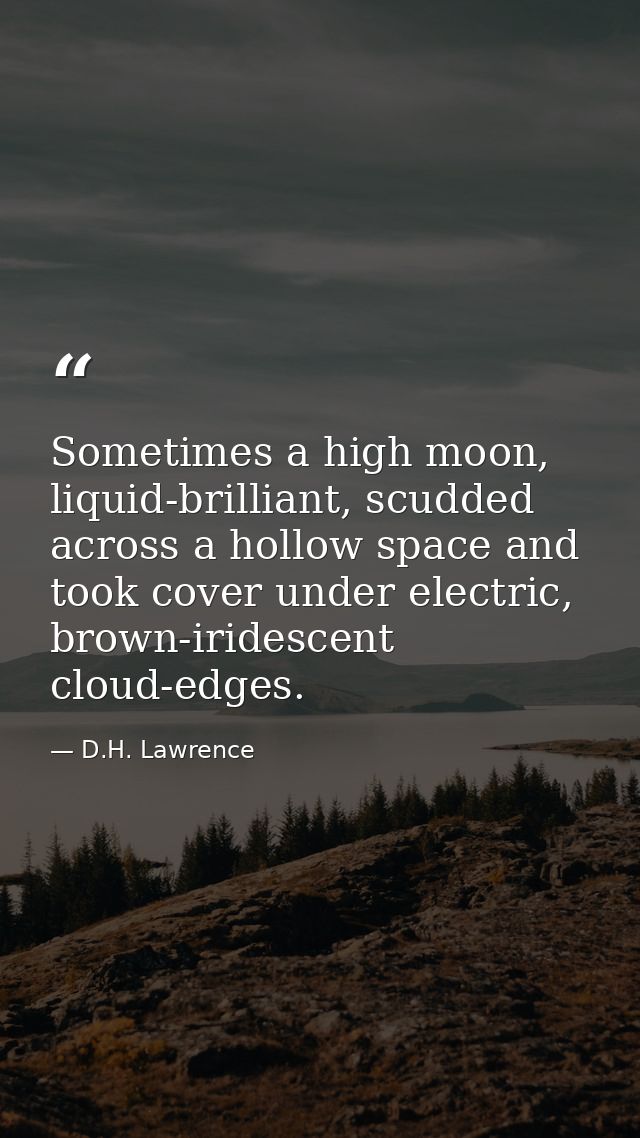 Sometimes a high moon, liquid-brilliant, scudded across a hollow space and took cover under electric, brown-iridescent c — D.H. Lawrence
