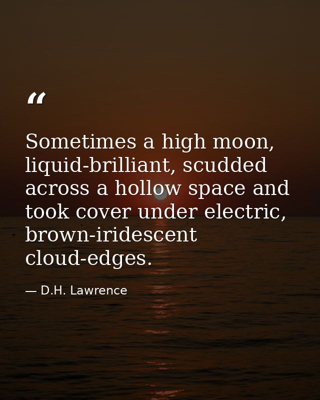 Sometimes a high moon, liquid-brilliant, scudded across a hollow space and took cover under electric, brown-iridescent c — D.H. Lawrence