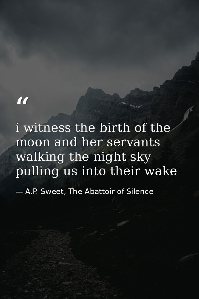 i witness the birth of the moon and her servants walking the night sky pulling us into their wake — A.P. Sweet, The Abattoir of Silence
