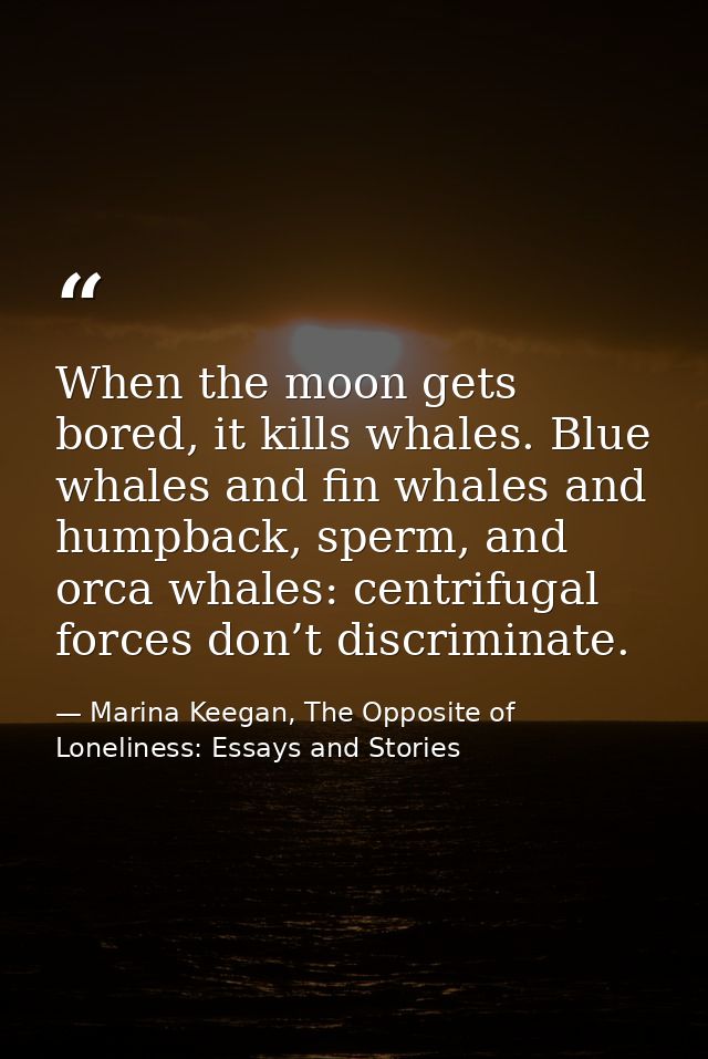 When the moon gets bored, it kills whales. Blue whales and fin whales and humpback, sperm, and orca whales: centrifugal  — Marina Keegan, The Opposite of Loneliness: Essays and Stories