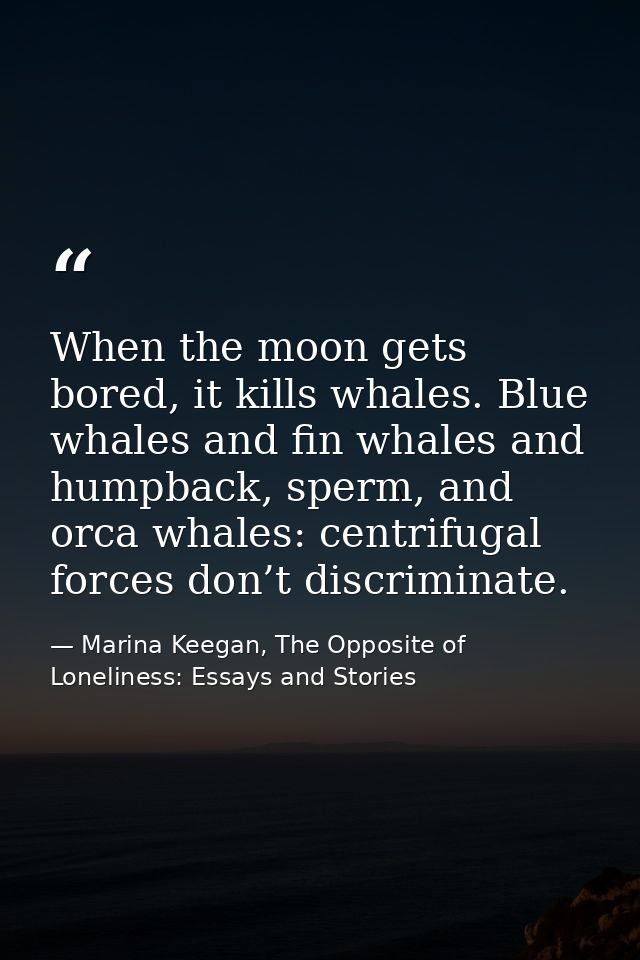 When the moon gets bored, it kills whales. Blue whales and fin whales and humpback, sperm, and orca whales: centrifugal  — Marina Keegan, The Opposite of Loneliness: Essays and Stories