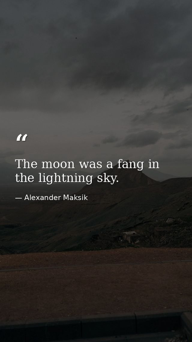 The moon was a fang in the lightning sky. — Alexander Maksik