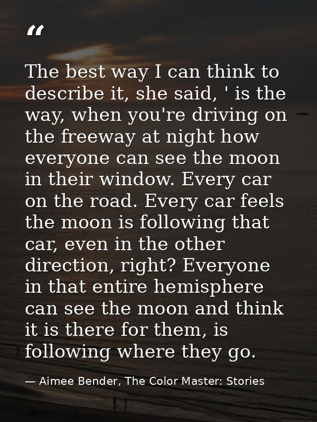 The best way I can think to describe it, she said, ' is the way, when you're driving on the freeway at night how everyon — Aimee Bender, The Color Master: Stories