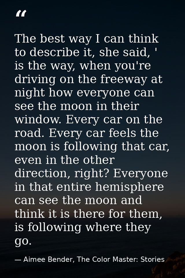 The best way I can think to describe it, she said, ' is the way, when you're driving on the freeway at night how everyon — Aimee Bender, The Color Master: Stories