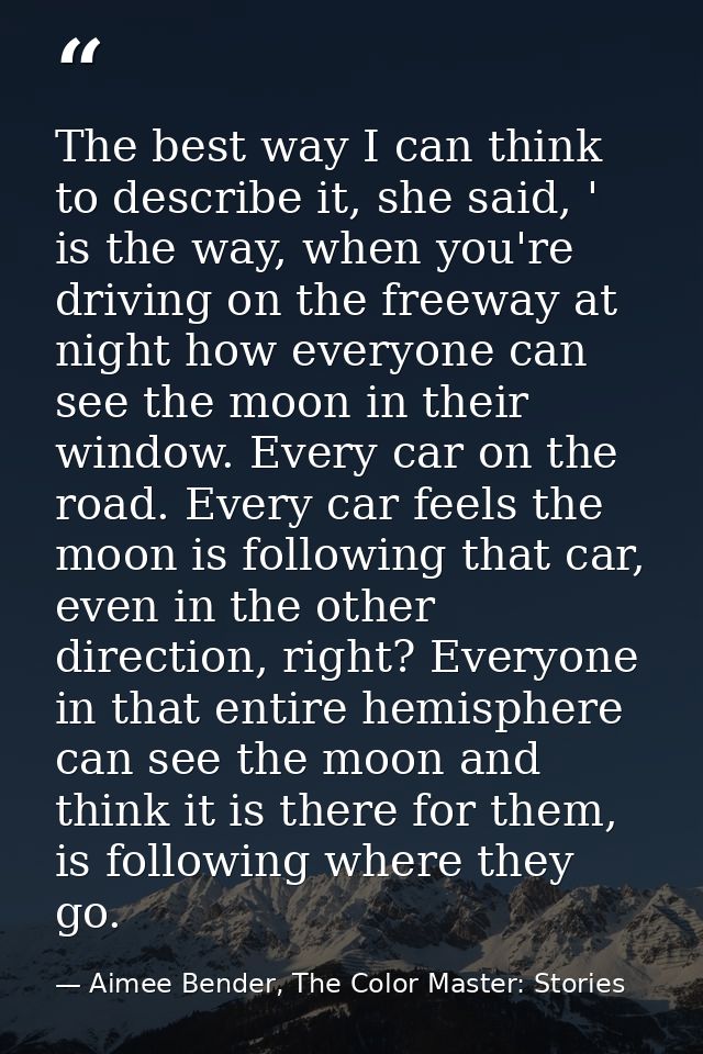 The best way I can think to describe it, she said, ' is the way, when you're driving on the freeway at night how everyon — Aimee Bender, The Color Master: Stories