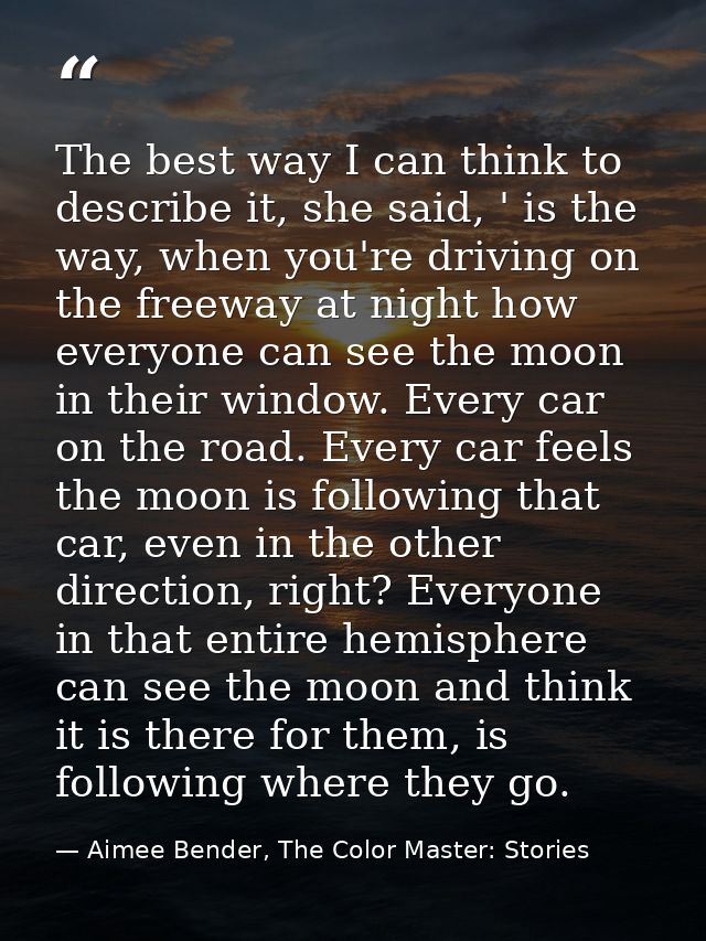The best way I can think to describe it, she said, ' is the way, when you're driving on the freeway at night how everyon — Aimee Bender, The Color Master: Stories