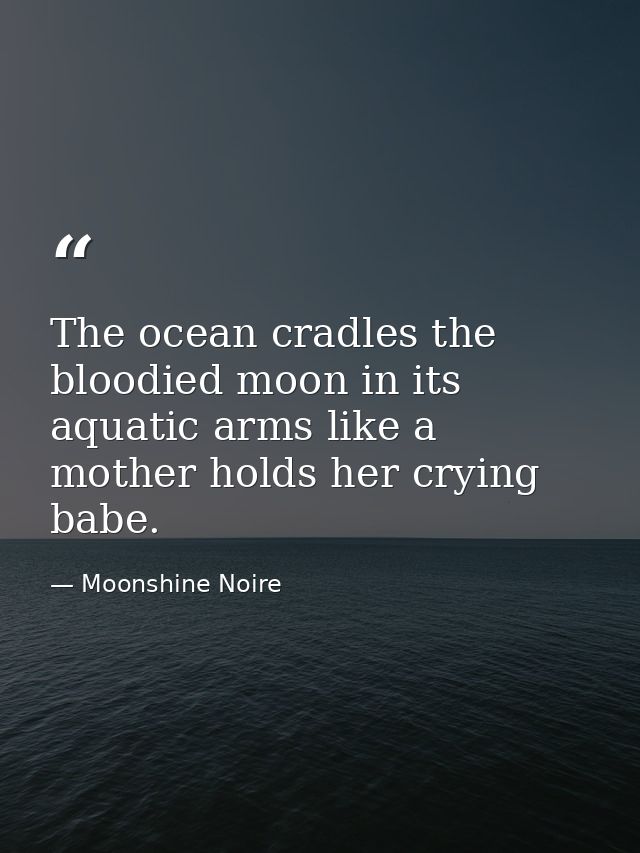 The ocean cradles the bloodied moon in its aquatic arms like a mother holds her crying babe. — Moonshine Noire