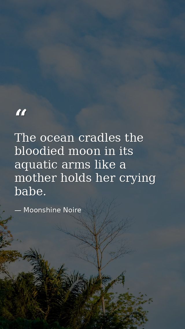 The ocean cradles the bloodied moon in its aquatic arms like a mother holds her crying babe. — Moonshine Noire