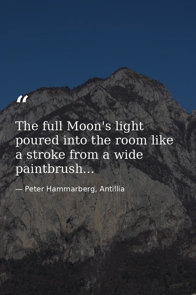 The full Moon's light poured into the room like a stroke from a wide paintbrush... — Peter Hammarberg, Antillia