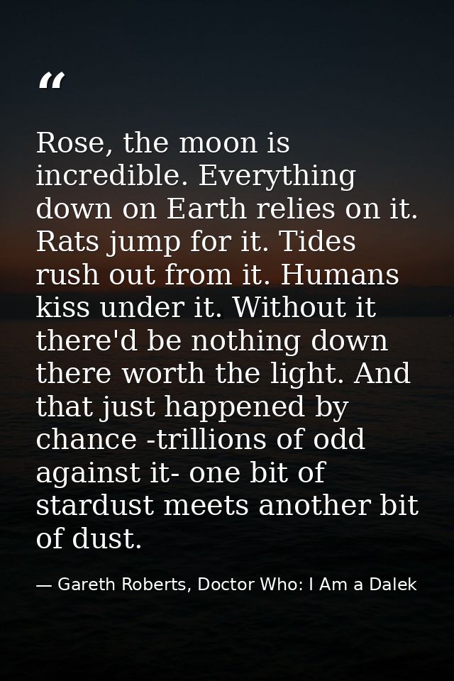 Rose, the moon is incredible. Everything down on Earth relies on it. Rats jump for it. Tides rush out from it. Humans ki — Gareth Roberts, Doctor Who: I Am a Dalek