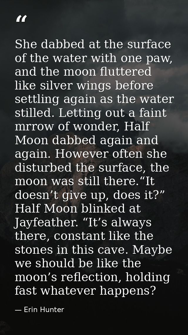 She dabbed at the surface of the water with one paw, and the moon fluttered like silver wings before settling again as t — Erin Hunter