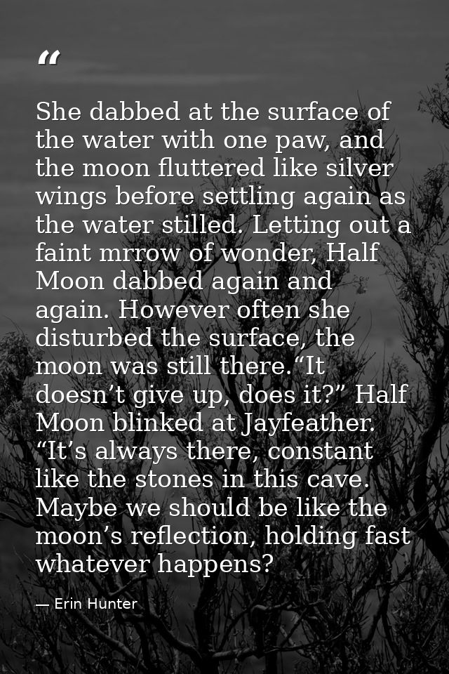 She dabbed at the surface of the water with one paw, and the moon fluttered like silver wings before settling again as t — Erin Hunter