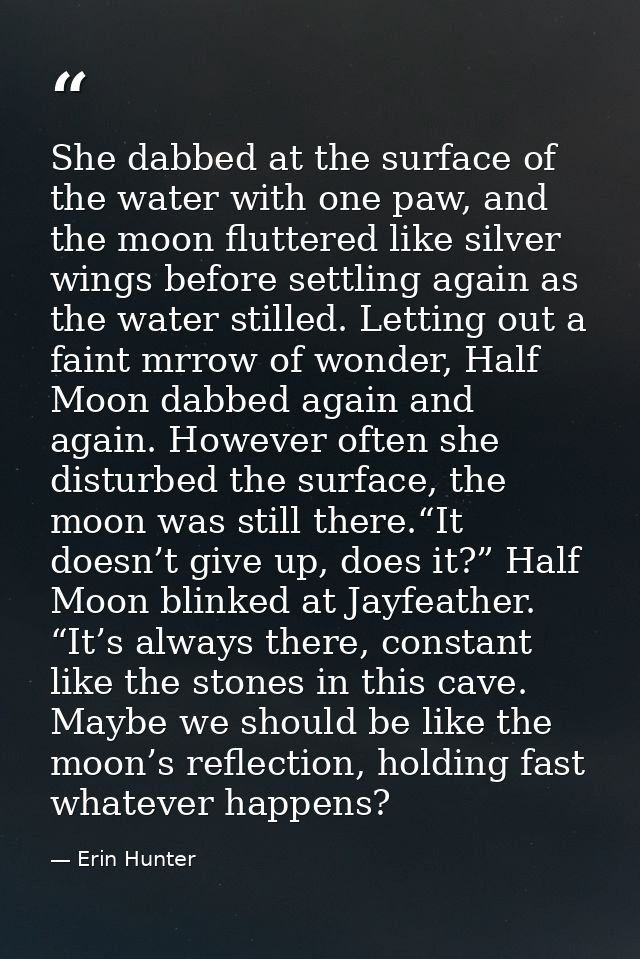 She dabbed at the surface of the water with one paw, and the moon fluttered like silver wings before settling again as t — Erin Hunter