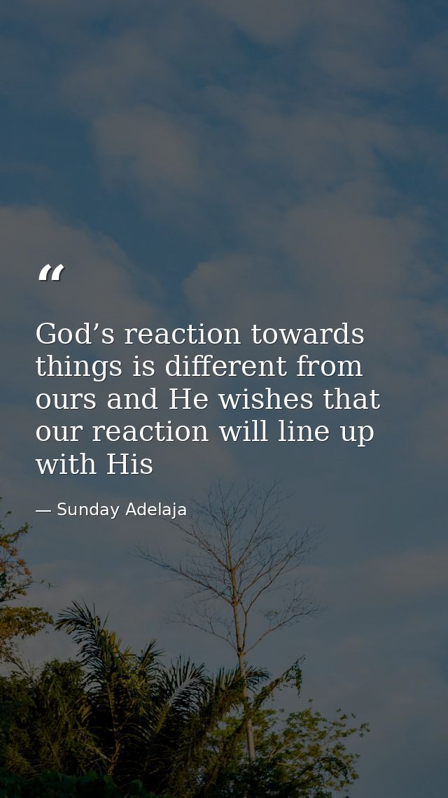 God’s reaction towards things is different from ours and He wishes that our reaction will line up with His — Sunday Adelaja