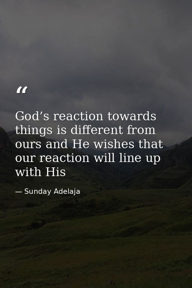 God’s reaction towards things is different from ours and He wishes that our reaction will line up with His — Sunday Adelaja