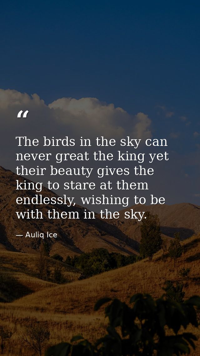 The birds in the sky can never great the king yet their beauty gives the king to stare at them endlessly, wishing to be  — Auliq Ice