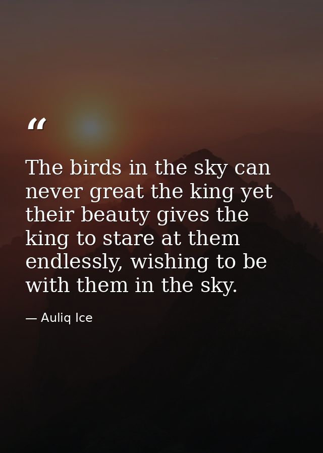 The birds in the sky can never great the king yet their beauty gives the king to stare at them endlessly, wishing to be  — Auliq Ice