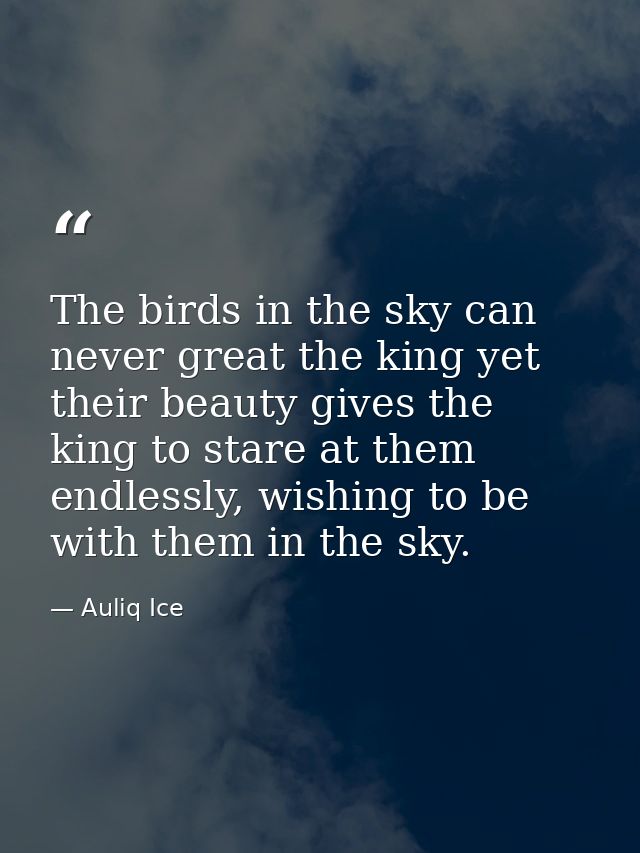 The birds in the sky can never great the king yet their beauty gives the king to stare at them endlessly, wishing to be  — Auliq Ice