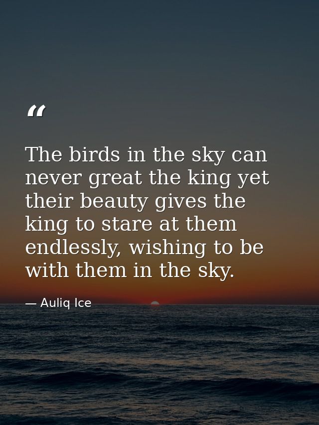 The birds in the sky can never great the king yet their beauty gives the king to stare at them endlessly, wishing to be  — Auliq Ice