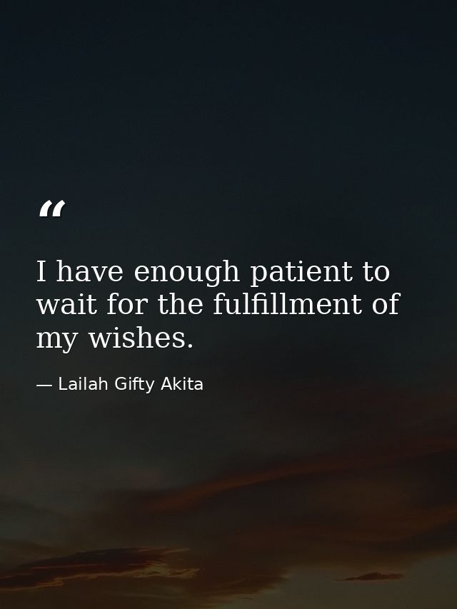 I have enough patient to wait for the fulfillment of my wishes. — Lailah Gifty Akita