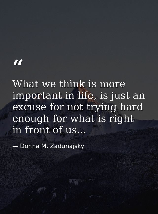 What we think is more important in life, is just an excuse for not trying hard enough for what is right in front of us.. — Donna M. Zadunajsky
