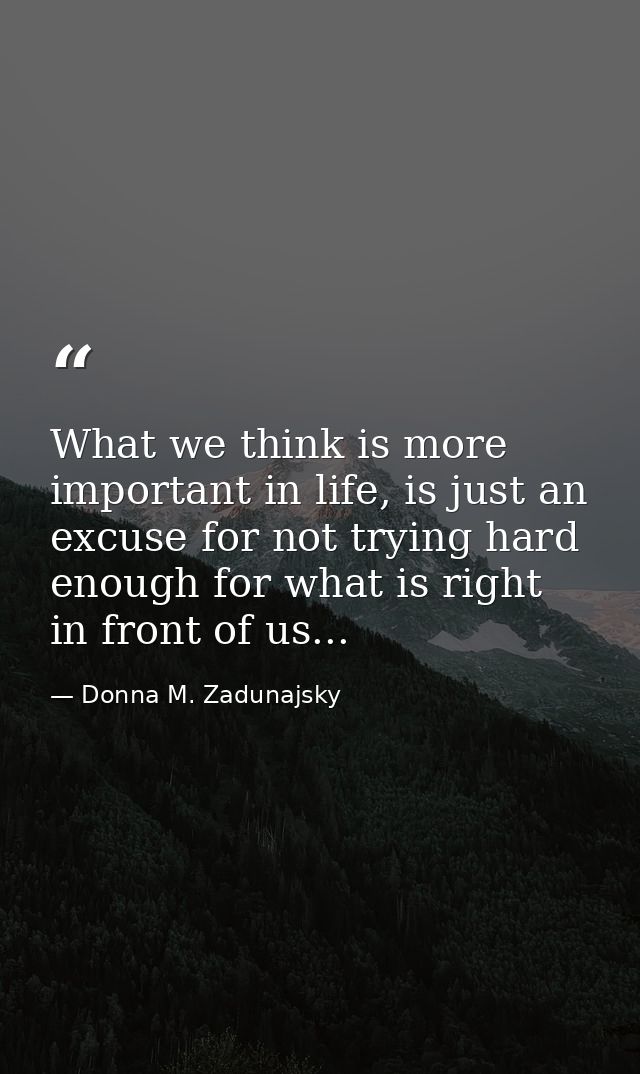 What we think is more important in life, is just an excuse for not trying hard enough for what is right in front of us.. — Donna M. Zadunajsky