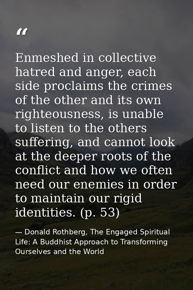 Enmeshed in collective hatred and anger, each side proclaims the crimes of the other and its own righteousness, is unabl — Donald Rothberg, The Engaged Spiritual Life: A Buddhist Approach to Transforming Ourselves and the World