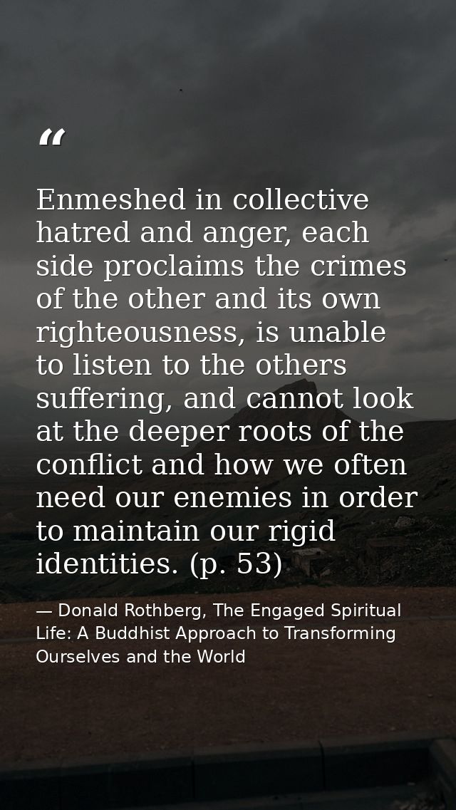 Enmeshed in collective hatred and anger, each side proclaims the crimes of the other and its own righteousness, is unabl — Donald Rothberg, The Engaged Spiritual Life: A Buddhist Approach to Transforming Ourselves and the World
